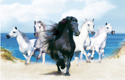 

WHITE HORSES BLACK 12X18 INCHES Fine Art Print(12 inch X 18 inch)