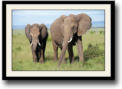 

Elephants Fine Art Print(10 inch X 14 inch, Framed)