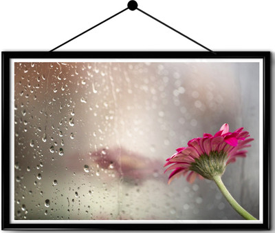 

Flower Nature framed posters Paper Print(16.5 inch X 13.7 inch, Framed)