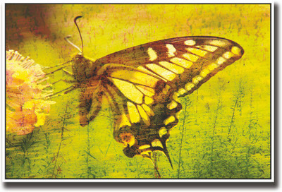 

Butterfly on flower art Fine Art Print(12 inch X 18 inch, Rolled)