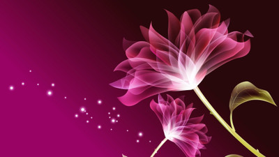 

Posterhouzz Flower Fine Art Print Poster Fine Art Print(12 inch X 18 inch, Rolled)