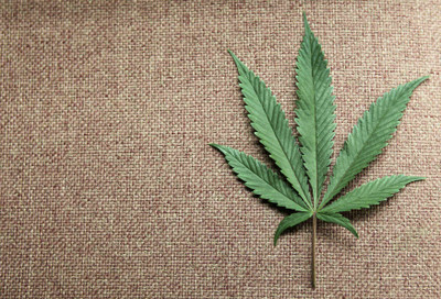 

Weed on A Jute Sheet Photographic Paper(18 inch X 24 inch, Rolled)