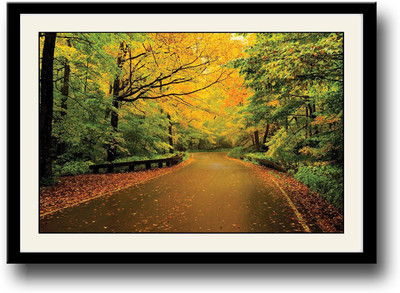 

Colorful Forest Fine Art Print(10 inch X 14 inch, Framed)