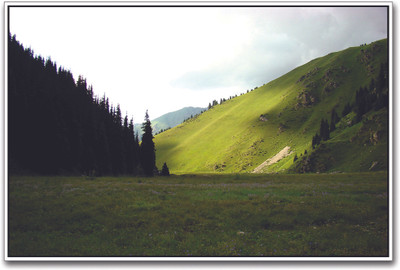 

Beautiful Green Lands Paper Print(12 inch X 18 inch)