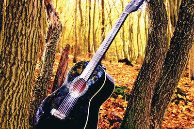 

SCENERY GUITAR 12X18 INCHES Fine Art Print(12 inch X 18 inch)