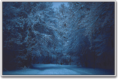 

Snow Covered Bench in Park Paper Print(12 inch X 18 inch)