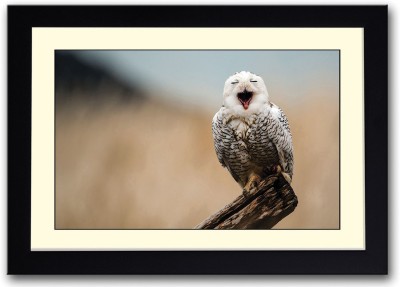 

Snowy Owl Fine Art Print(14 inch X 20 inch, Framed)