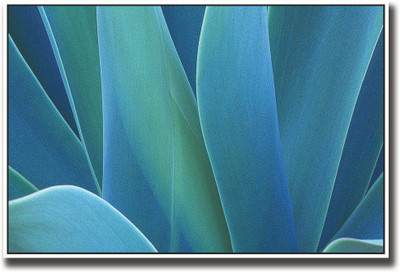

Blue abstract design Fine Art Print(12 inch X 18 inch, Rolled)