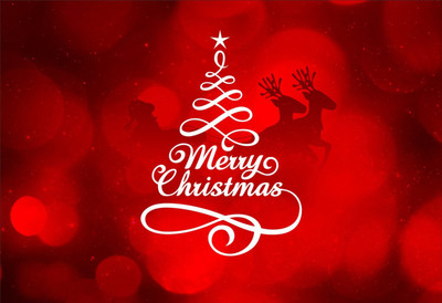 

Merry Christmas Poster (Non Tearable Synthetic Material) Fine Art Print(13 inch X 19 inch)