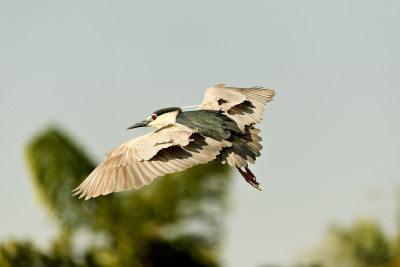 50% OFF on In Flight Paper Print(24 inch X 36 inch) 50% OFF on In Flight Paper Print(24 inch X 36 inch)