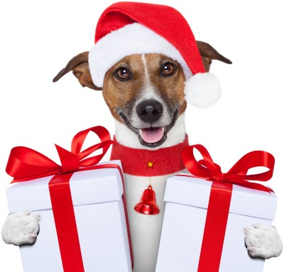 

Tallenge - Christmas Art - Happy Dog - Medium Size Unframed Rolled Digital Art Print On Photographic Paper(18 inch X 12 inch, Rolled)