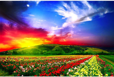 

Landscape images posters for Room, Home and Office. Paper Print(18 inch X 12 inch, Rolled)