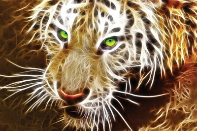 

Posterhouzz Fine Art Print(12 inch X 18 inch, Rolled)