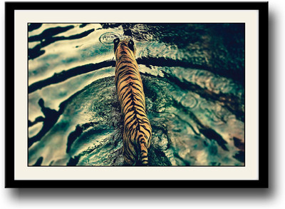 

Tiger walking in river Fine Art Print(10 inch X 14 inch, Framed)