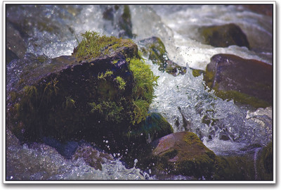 

Crystal Clear Water Paper Print(12 inch X 18 inch)