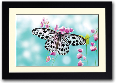 

Beautiful Black and White Butterfly Fine Art Print(14 inch X 20 inch, Framed)