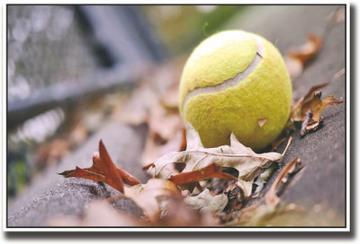 

Yellow tennis ball on road Fine Art Print(12 inch X 18 inch, Rolled)
