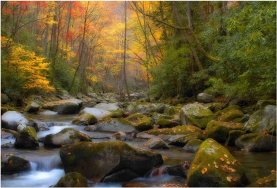 

Nature Paper Print(19 inch X 13 inch, Rolled)