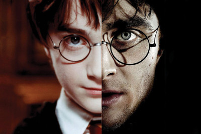 

Harry Potter Paper Print(12 inch X 18 inch, Rolled)