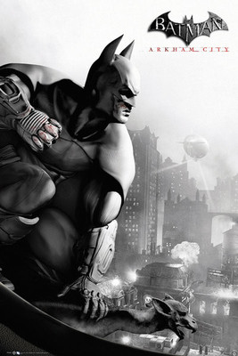 

Batman Arkham City Cover Paper Print(36 inch X 24 inch, Rolled)