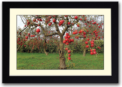 

Apple Tree Fine Art Print(14 inch X 20 inch, Framed)