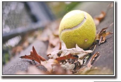 

Posterhouzz Yellow tennis ball on road Fine Art Print(12 inch X 18 inch, Rolled)