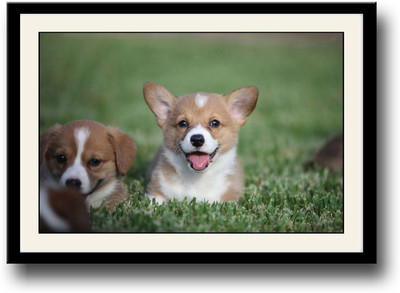 

Welsh Corgi Puppies Fine Art Print(10 inch X 14 inch, Framed)
