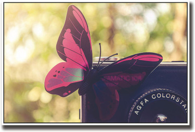 

Butterfly on camera Fine Art Print(12 inch X 18 inch, Rolled)