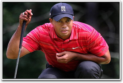

Tiger Woods Golf Paper Print(12 inch X 18 inch)
