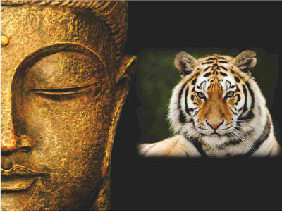 

Posterhouzz Buddha Fine Art Print Poster Fine Art Print(12 inch X 18 inch, Rolled)