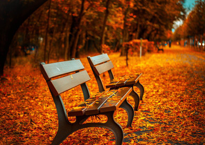 45% OFF on Autumn Chairs Fine Art Print(28 inch X 20 inch, Rolled) 45% OFF on Autumn Chairs Fine Art Print(28 inch X 20 inch, Rolled)