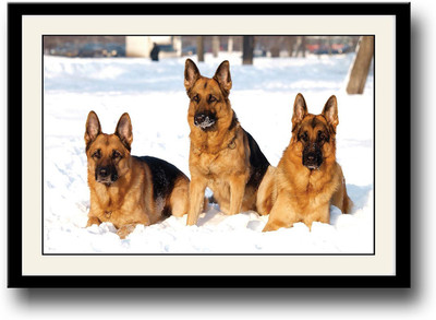 

German Shepherds Fine Art Print(10 inch X 14 inch, Framed)