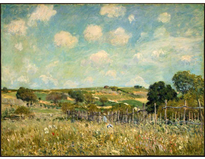 

Old Masters Collection - Meadow by Alfred Sisley - Medium Size Ready To Frame Rolled Digital Art Print On Photographic Paper(24 inch X 18 inch, Rolled)