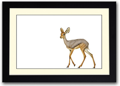 

Amazing Deer Design Fine Art Print(14 inch X 20 inch, Framed)