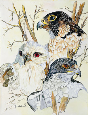 20% OFF on Birds of a Feather(9 inch X 12 inch)