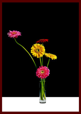 50% OFF on Gerbera in Paper Print(33 inch X 24 inch) 50% OFF on Gerbera in Paper Print(33 inch X 24 inch)