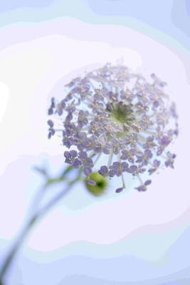 

Posterhouzz Flower Fine Art Print Poster Fine Art Print(18 inch X 12 inch, Rolled)