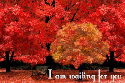 

Posterhouzz I Am Waiting For You Poster Fine Art Print(12 inch X 18 inch, Rolled)