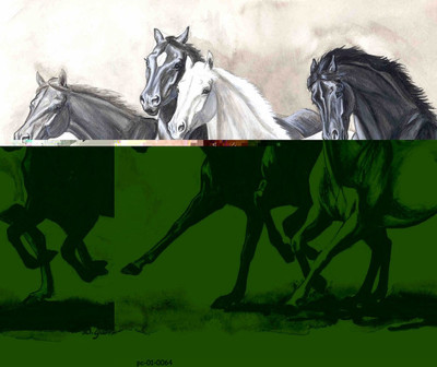 

Posterhouzz Poster - Black and White Horsev 20 Fine Art Print(18 inch X 12 inch, Rolled)
