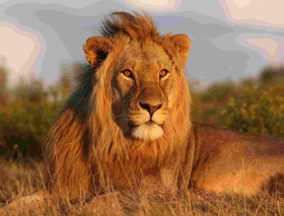 25% OFF on Painting without Frame Scenery-19 Canvas Art(18 inch X 22 inch)