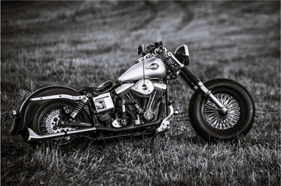 

HD Black Paper Print(19 inch X 13 inch, Rolled)