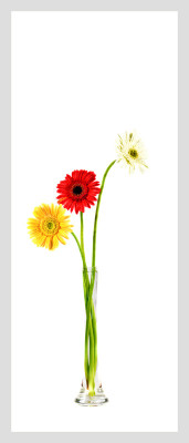 50% OFF on Gerbera in Paper Print(46 inch X 20 inch)