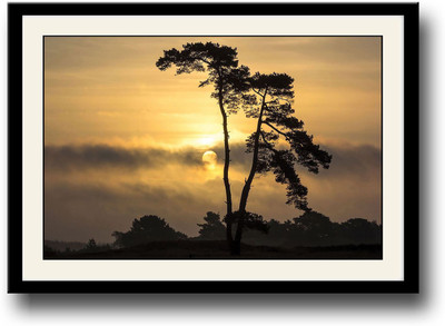 

Sun shining behind tree Fine Art Print(10 inch X 14 inch, Framed)