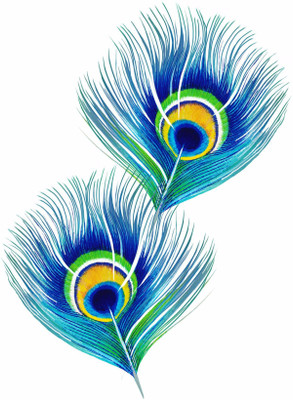 

Tallenge - Peacock Feathers - A3 Size Rolled Poster Paper Print(16.5 inch X 11.7 inch, Rolled)