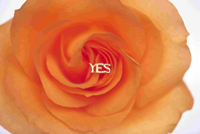 

Posterhouzz Flower Fine Art Print Poster Fine Art Print(12 inch X 18 inch, Rolled)