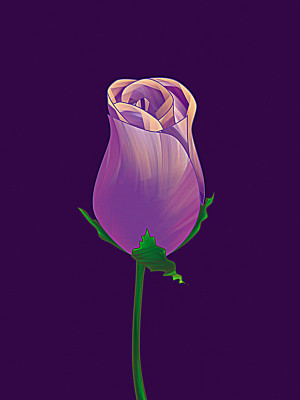 50% OFF on Rose Bud Paper Print(26 inch X 20 inch) 50% OFF on Rose Bud Paper Print(26 inch X 20 inch)