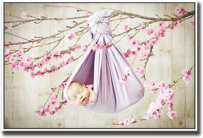 

Baby sleeping in a purple swing Fine Art Print(12 inch X 18 inch, Rolled)