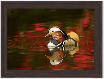 

Speaking Ducks Nature Themed Framed Poster Photographic Paper(13.5 inch X 10 inch, Box Packing)