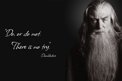 

Quote Dumbeldore 12x18 inches Fine Art Print(12 inch X 18 inch)