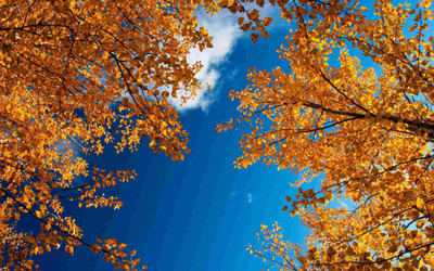 

Posterhouzz Autumn Fine Art Print Poster Fine Art Print(12 inch X 18 inch, Rolled)